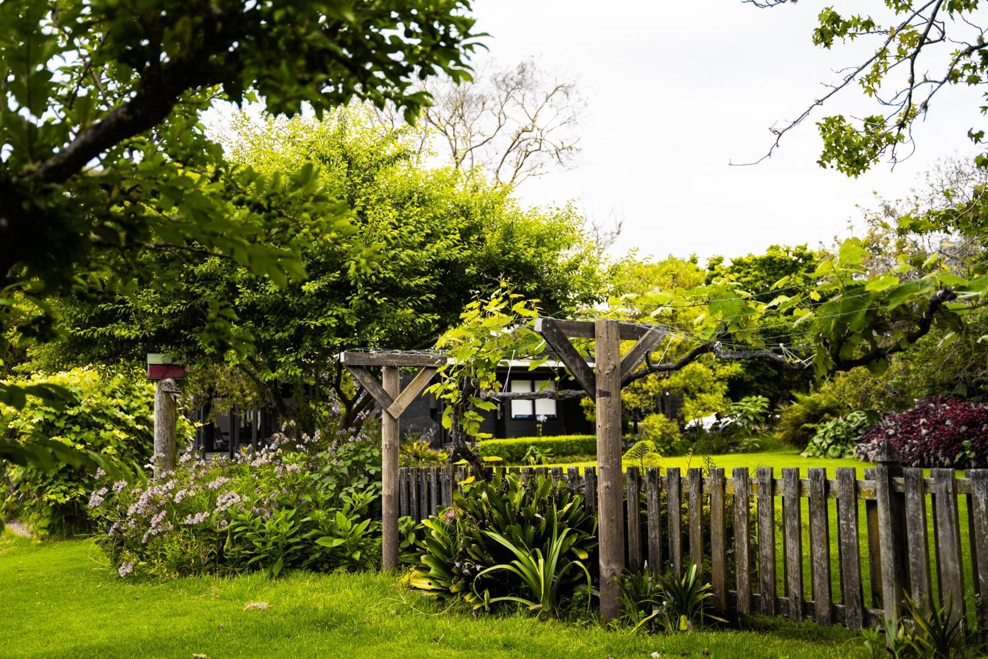 Forest Waters Haruru Exterior foto