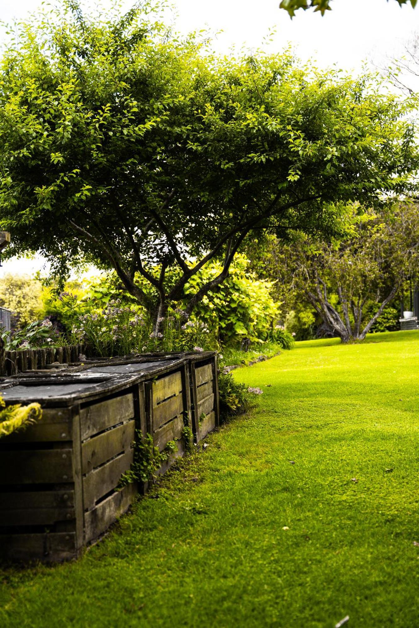Forest Waters Haruru Exterior foto